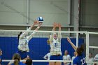 VB vs USCGA  Wheaton College Women's Volleyball vs U.S. Coast Guard Academy. - Photo by Keith Nordstrom : Wheaton, Volleyball